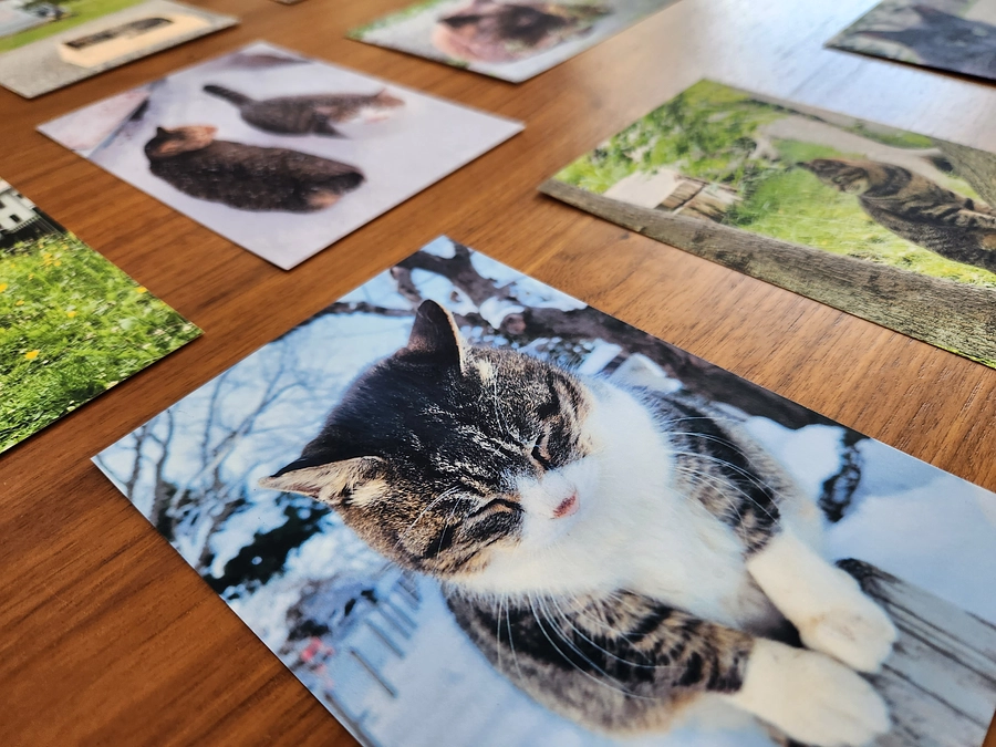 プロジェクト実施完了のご報告