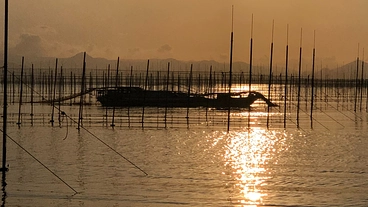 海苔漁業者の船舶整備工場設立及び整備士不足による育成 のトップ画像