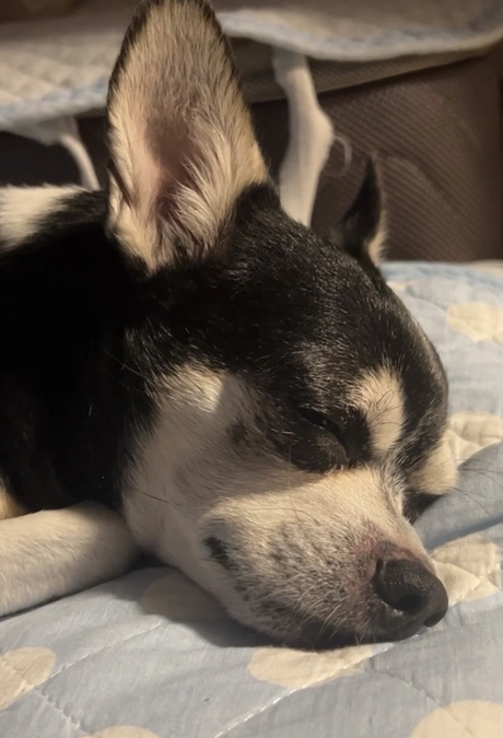 日々の感謝を込めて