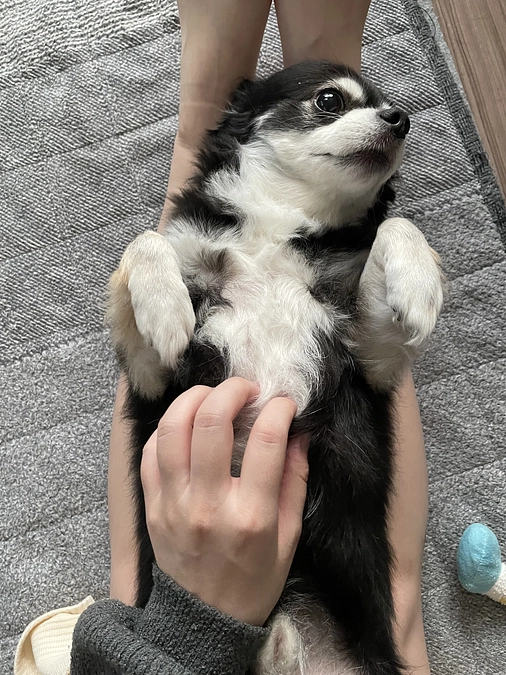 ライブありがとうございました