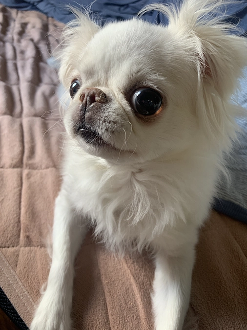 残り23日🐶‼️