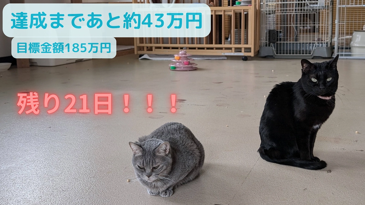 目標達成まで25％をきりました！引き続きご支援、応援をよろしくお願いします。