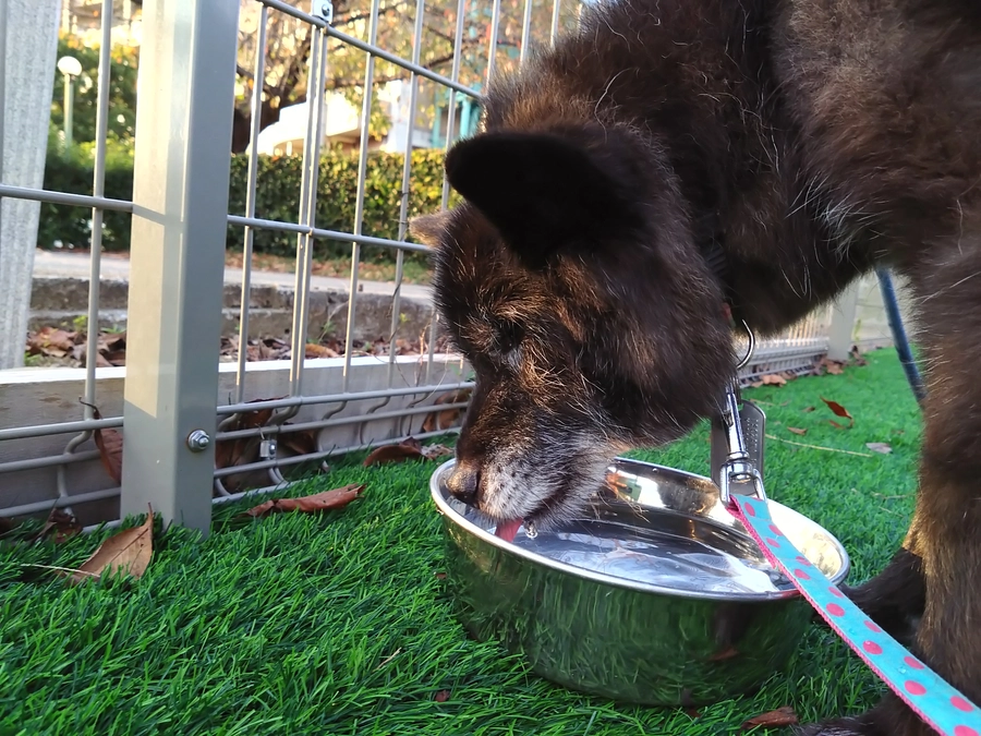 今後の工事予定について