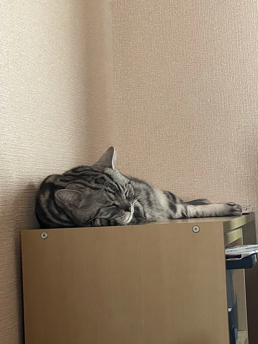 本日の銀時(経過観察33日目)