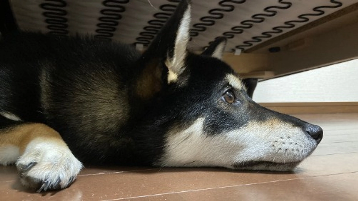 皆様のおかげで達成率８０％まで来れました。あと少しです！