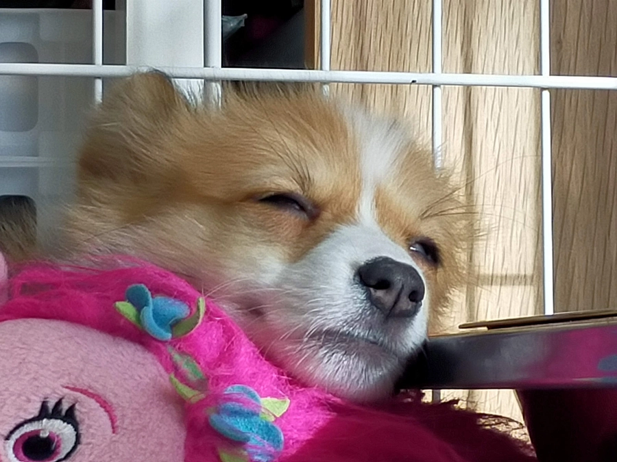 インスタに動画をアップしました。