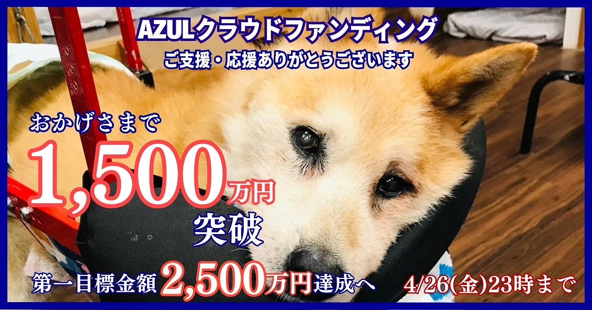 皆様のお陰で1500万を突破しました。