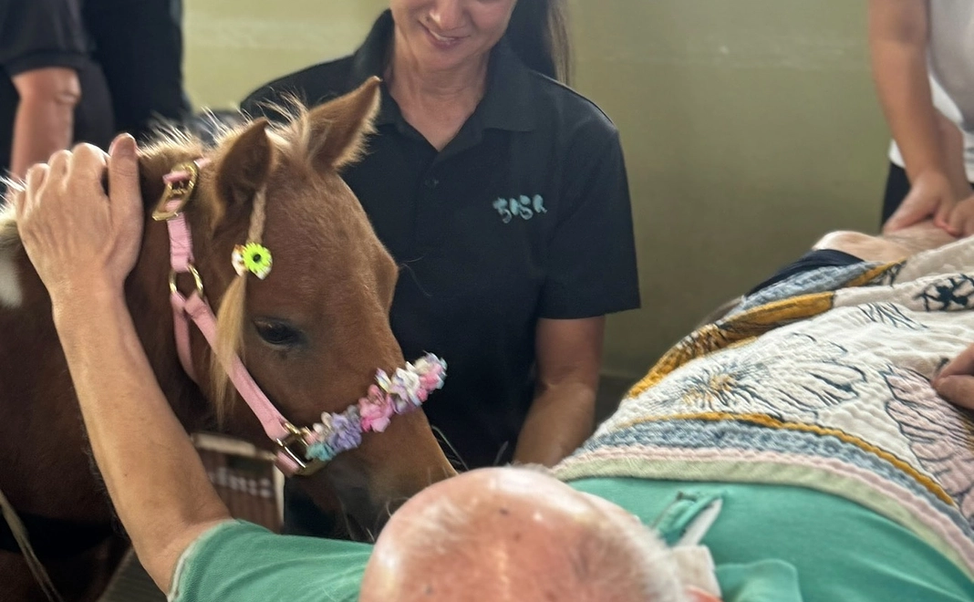 【法人向け】 スポンサー月300,000円コース