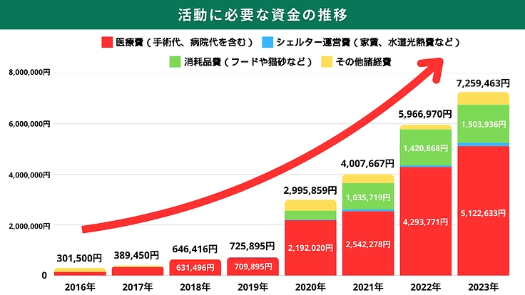 地域猫と人の共存を目指して│保護猫の医療費と療養費にご支援を 3枚目