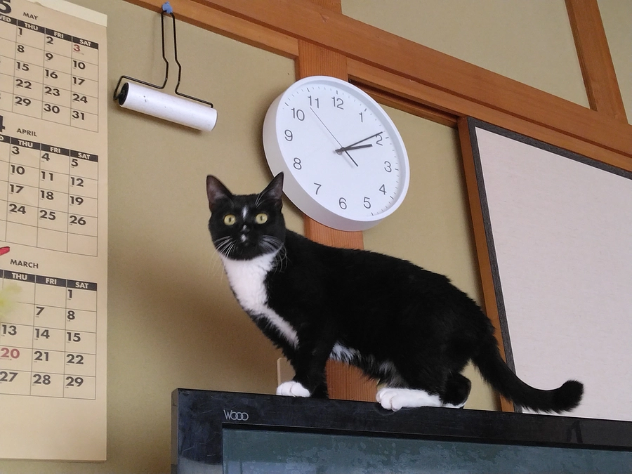 5/26はなちゃんの様子