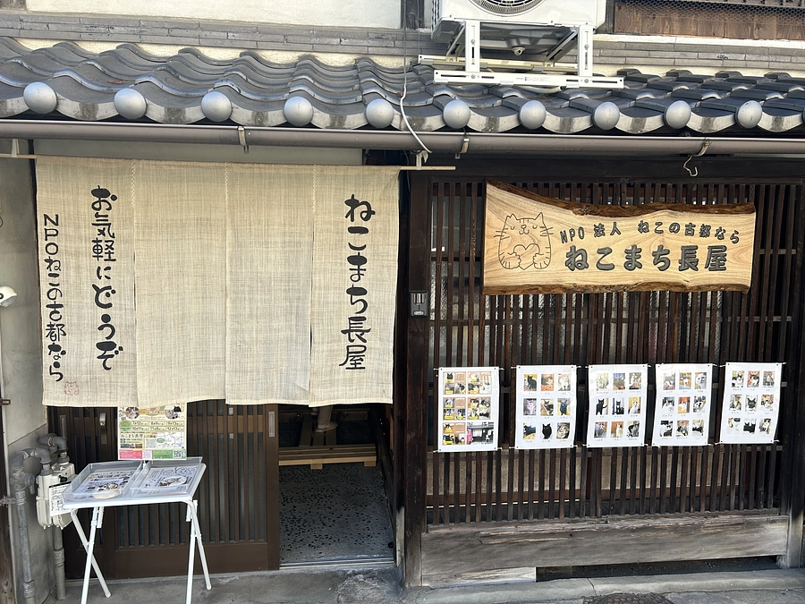 なかなか活動報告進んでおらずすみません💦　本日は譲渡会　あさから看板も取り付け完了しました。