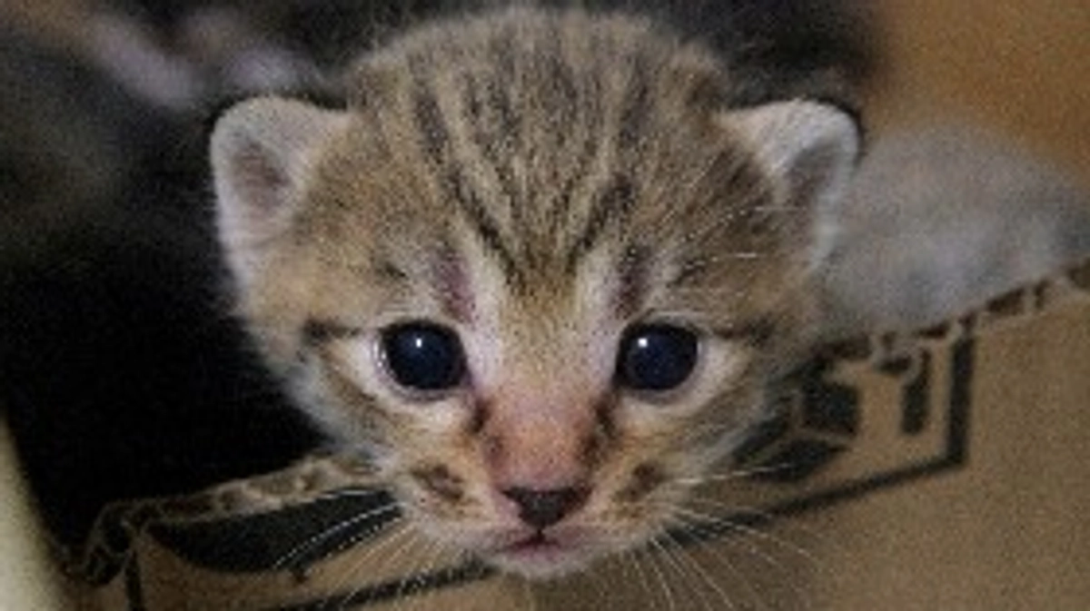 達成率20% 100,000円を突破しました！