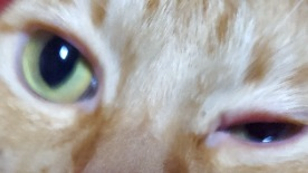 ど、どーした！？