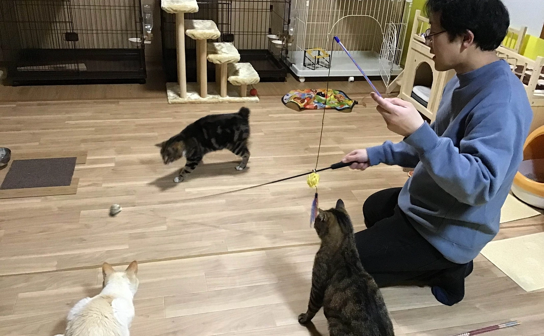 しっぽのおうち応援コース3000円（かんちょとみんにゃからサンクスメール）