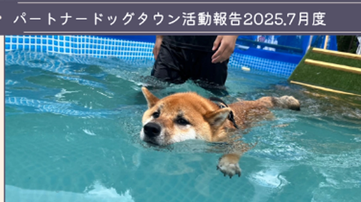 2025年7月活動報告