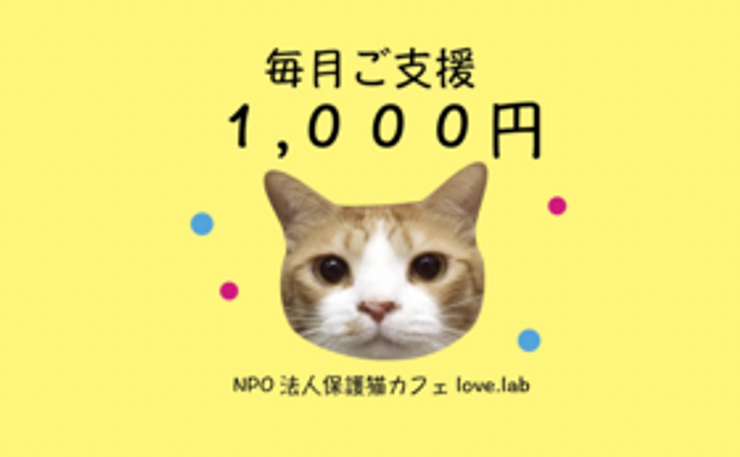 毎月ご支援1,000円コース