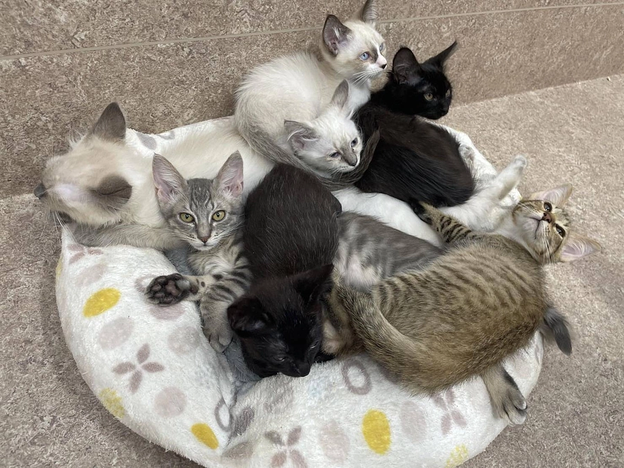 パソコンの前に座る時間が全然なくご報告が遅くなり申し訳ありません。