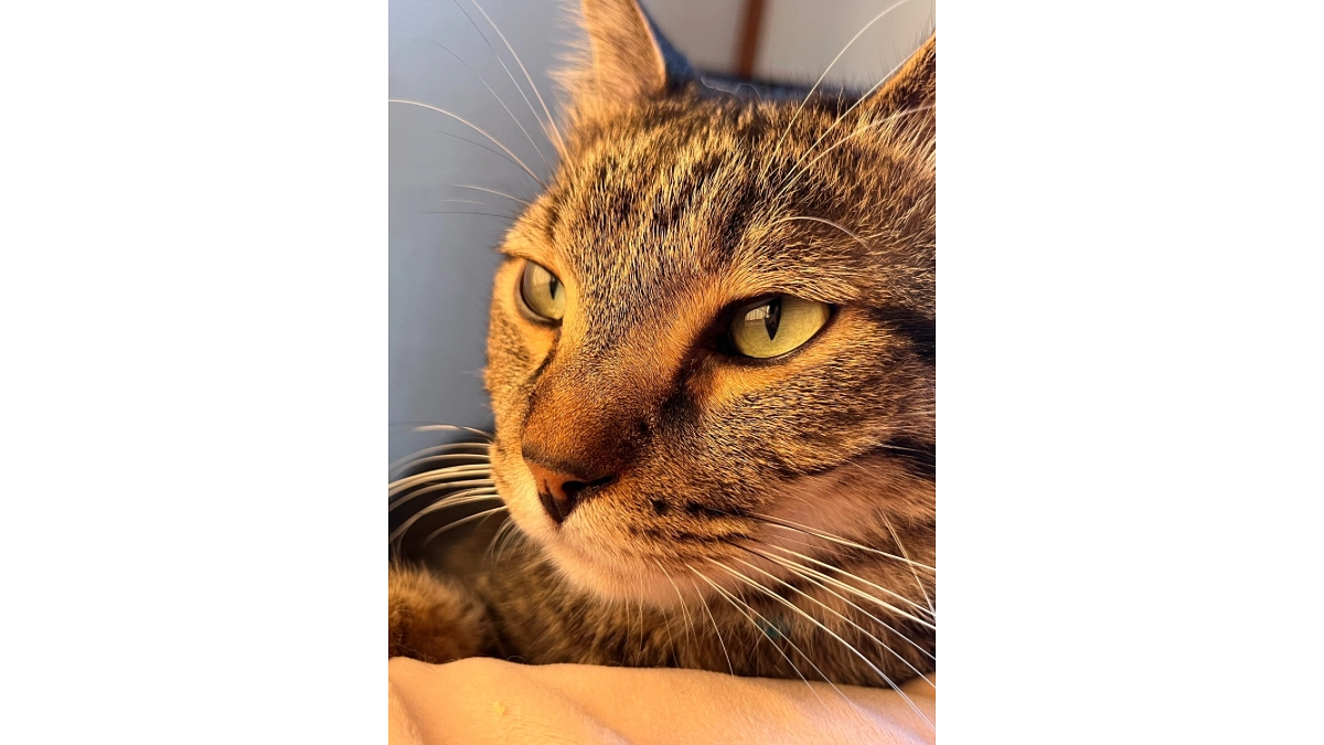 仲間との出会い⑧