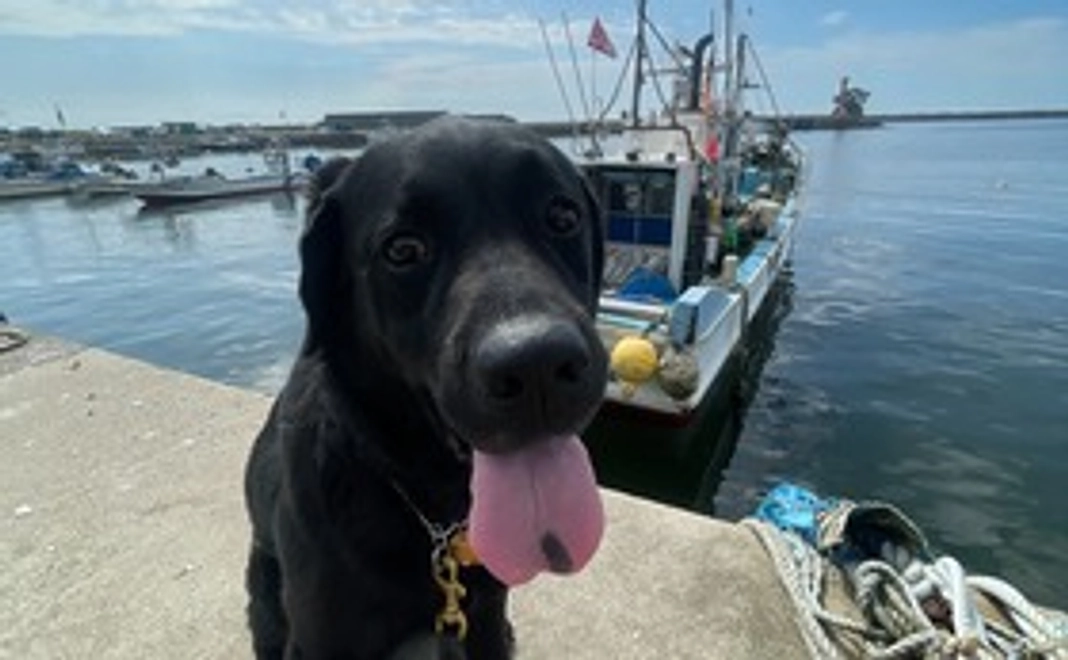 応援コース【1万円】