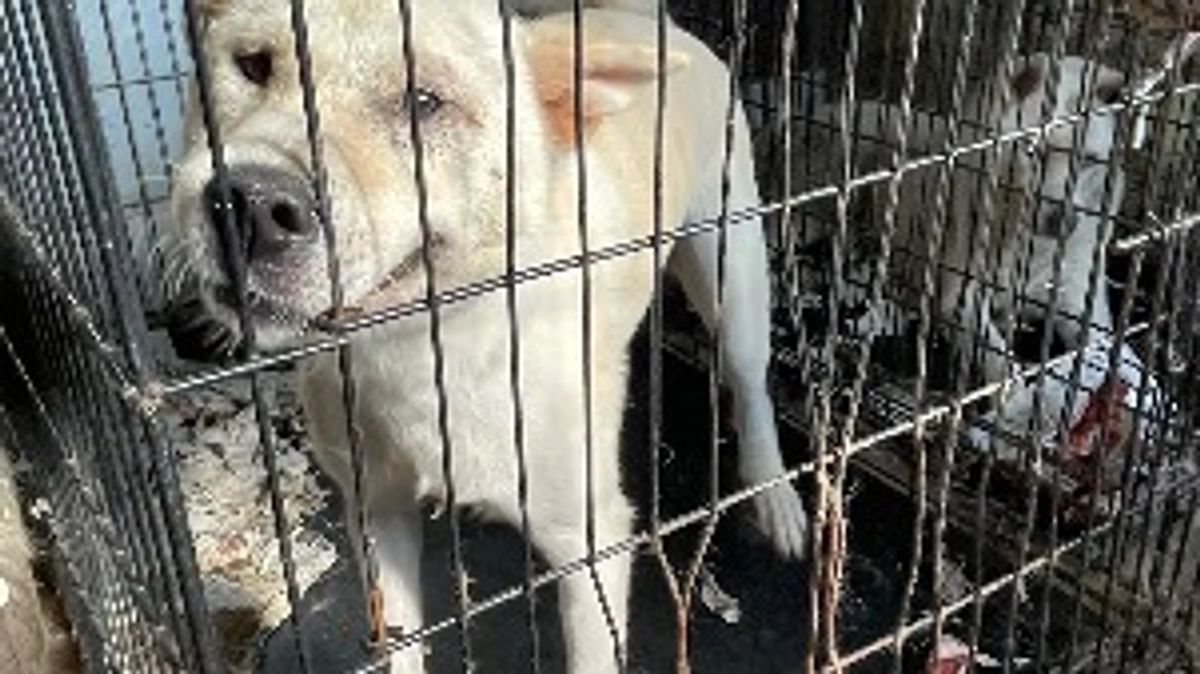 キャンセルからの予定変更