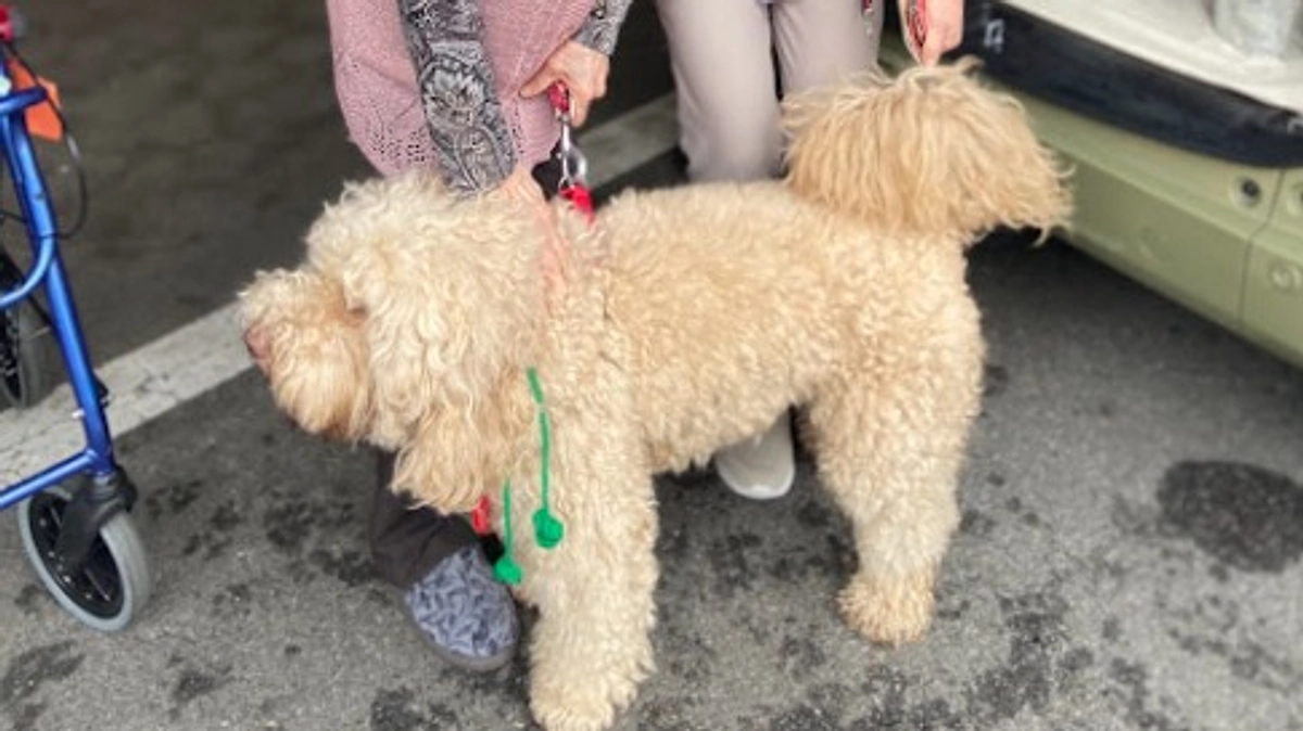 看板犬ことと石部の施設さんへ訪問