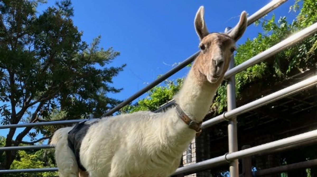 【活動報告70】今日も暑い一日でした。確認ですが、今いるお部屋は涼しいですか？