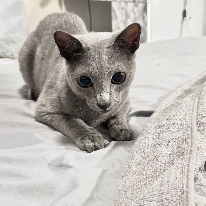 【残り4️⃣時間💦】投薬83日目