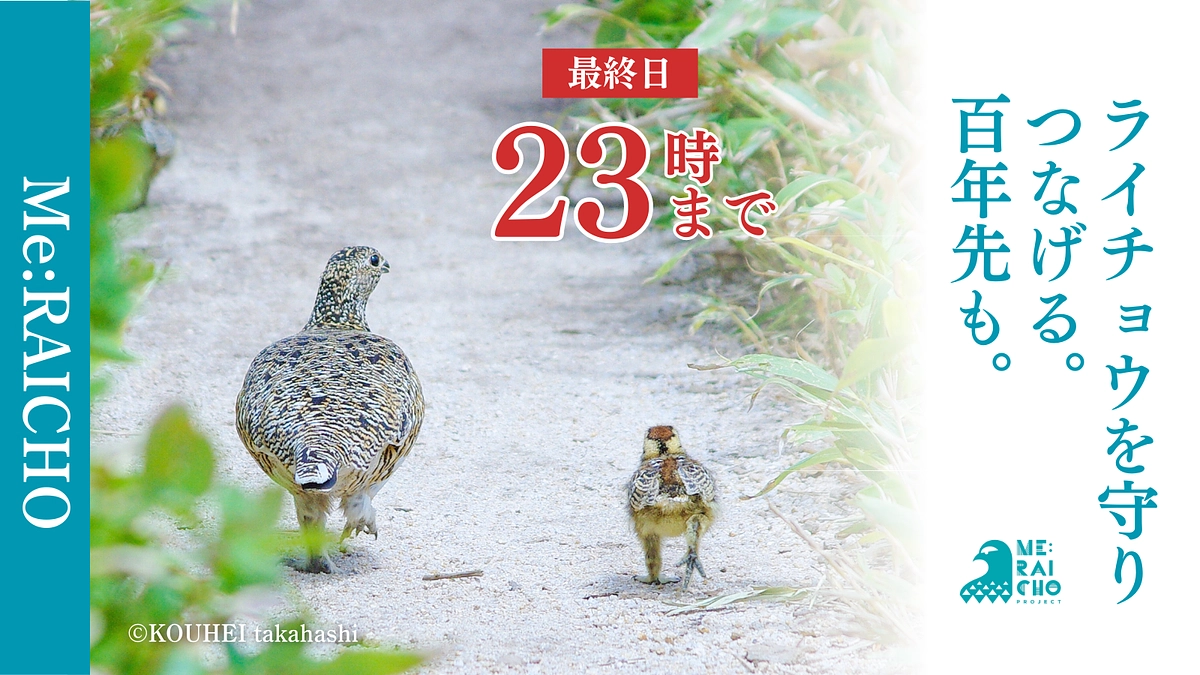 【ついに本日最終日！】【在庫追加リターン】ご支援は23時まで！最後まで応援よろしくお願いします。