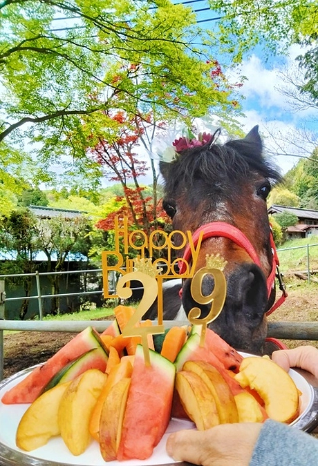 プリン＆アオちゃんの誕生日