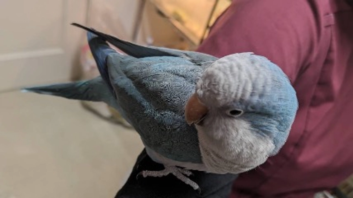 【まさの森活動報告⑬】犬、猫はもちろんエキゾチックアニマルもお預かりしてます！