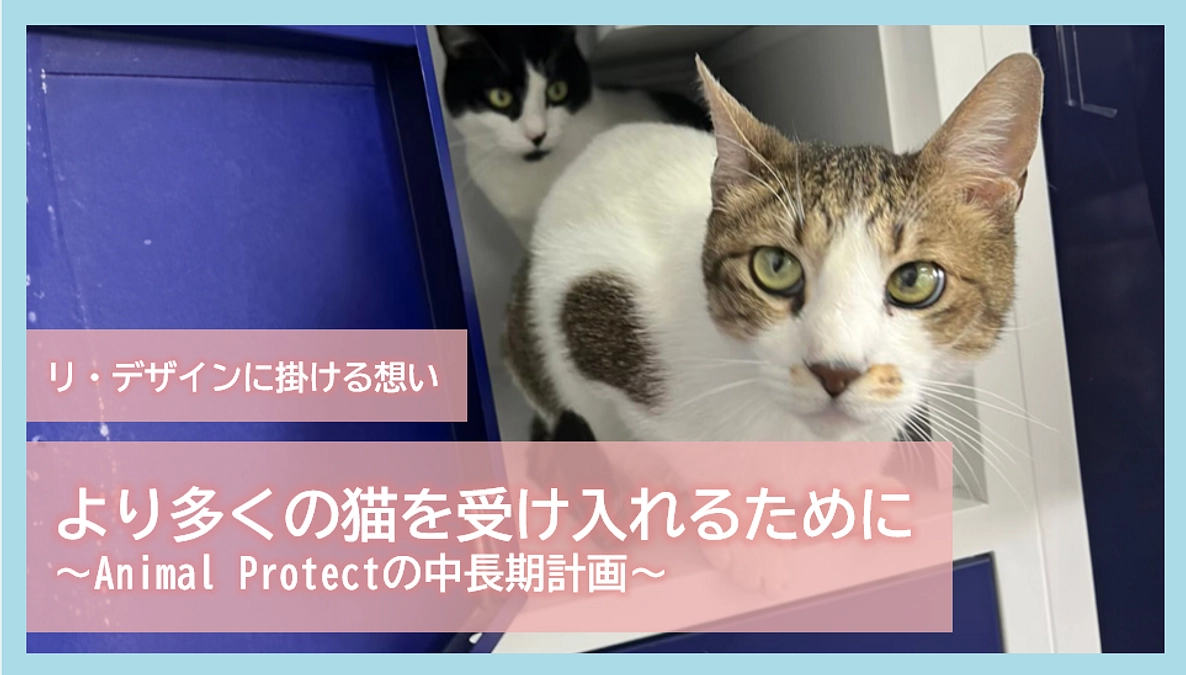 リ・デザインに掛ける想い｜より多くの猫を受け入れるために～AnimalProtectの中長期計画～