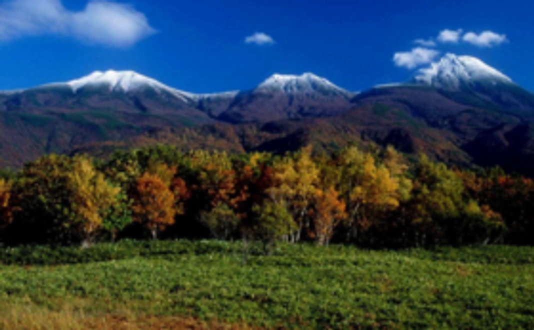 【リターン不要の方向け】お気持ち支援｜1万円