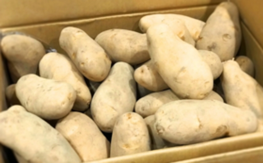 南八甲田ファーム野菜贈呈コース