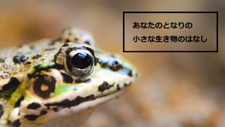 身近な自然を守るため、その魅力をYouTubeで発信したい！