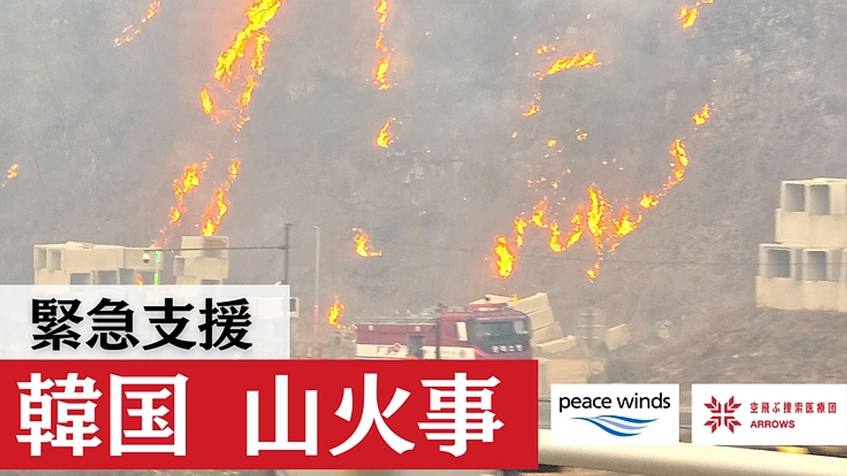 【韓国 山火事被害へのご支援を】ピースウィンズは緊急支援を開始しています