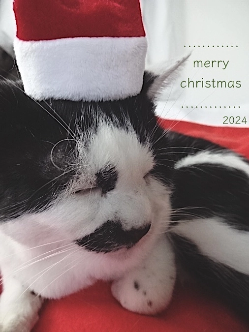 diary Vol.55　投薬記　