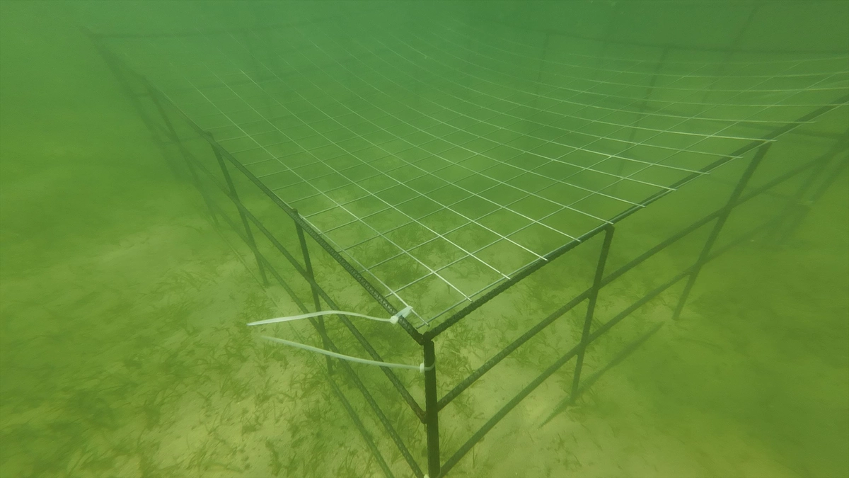 閉鎖型の柵を設置しました！