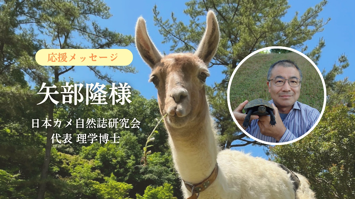 【活動報告55】日本カメ自然誌研究会代表 理学博士　矢部隆様からの応援メッセージ