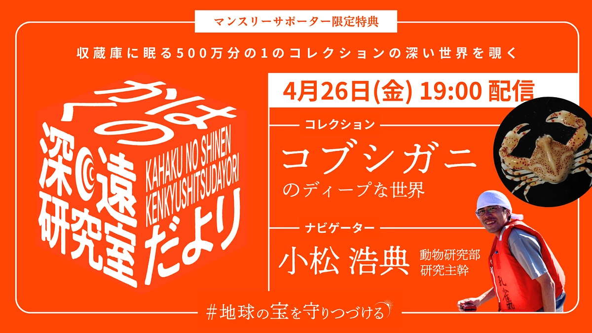 体験版無料公開｜マンスリーサポーター支援者限定特典、深遠研究室だより第1弾を特別にお届け