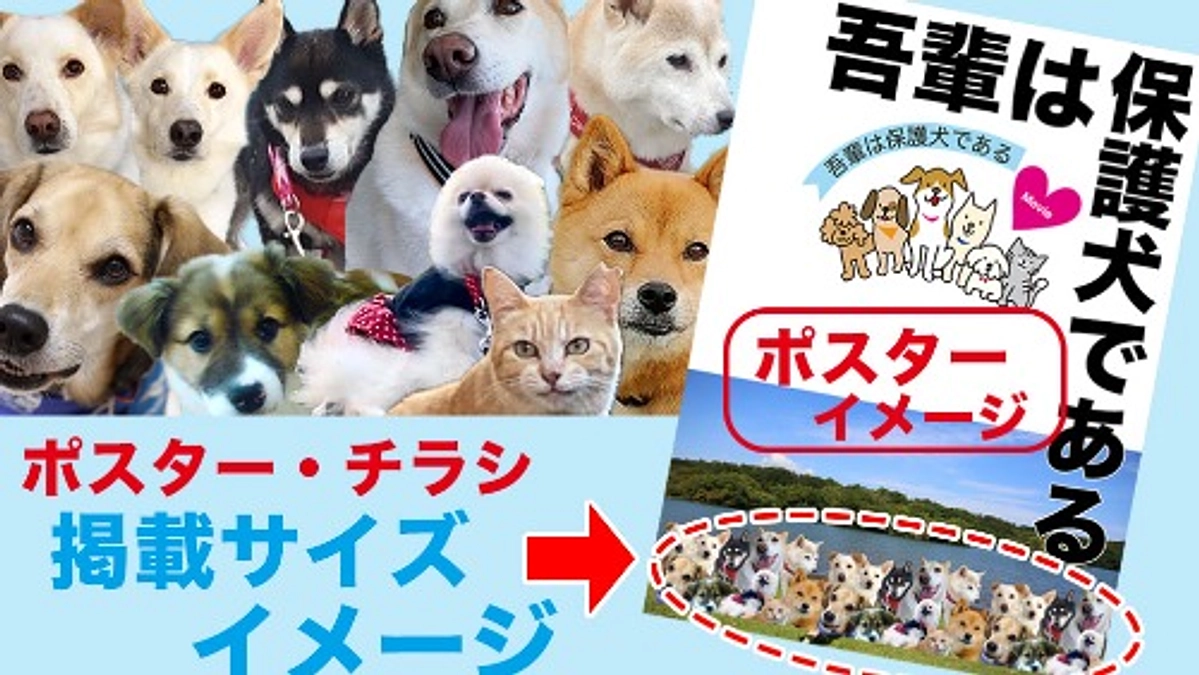 【リターン紹介①】愛犬が映画のポスターに！ポスター掲載コース｜3万8千円
