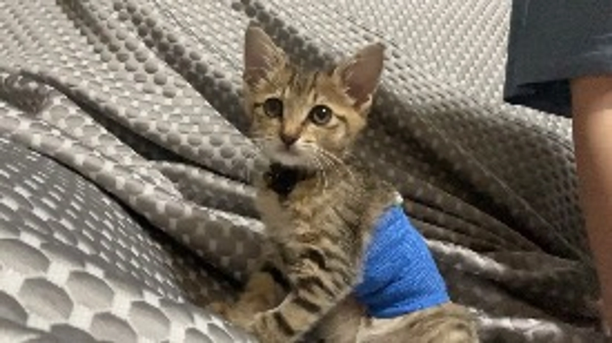 退院しました！