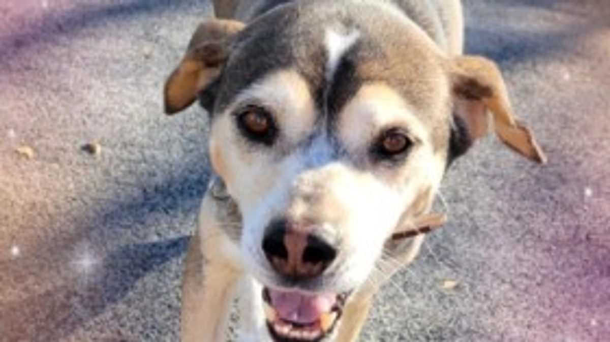 多くの方々に知ってほしい‼️‼️