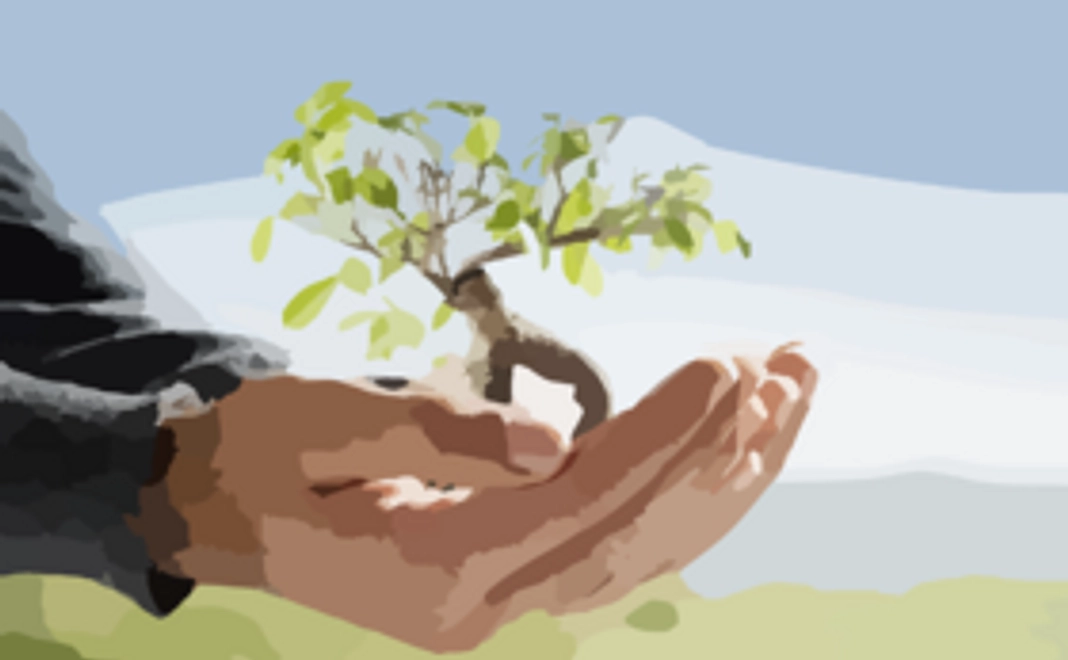 【植林10本分】植林参加証明書