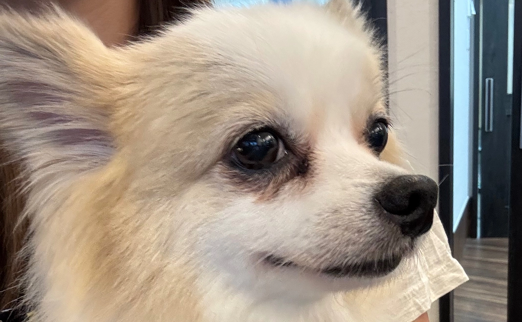 感謝のメール 7