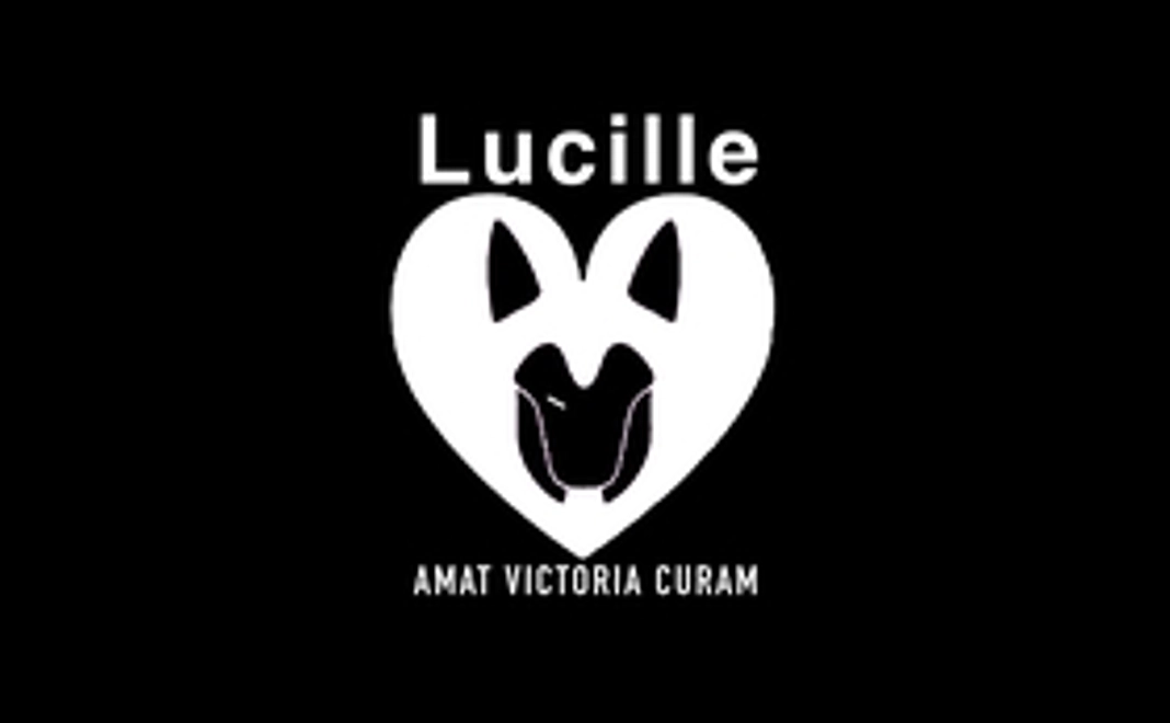 Lucille商品を特別価格でご提供