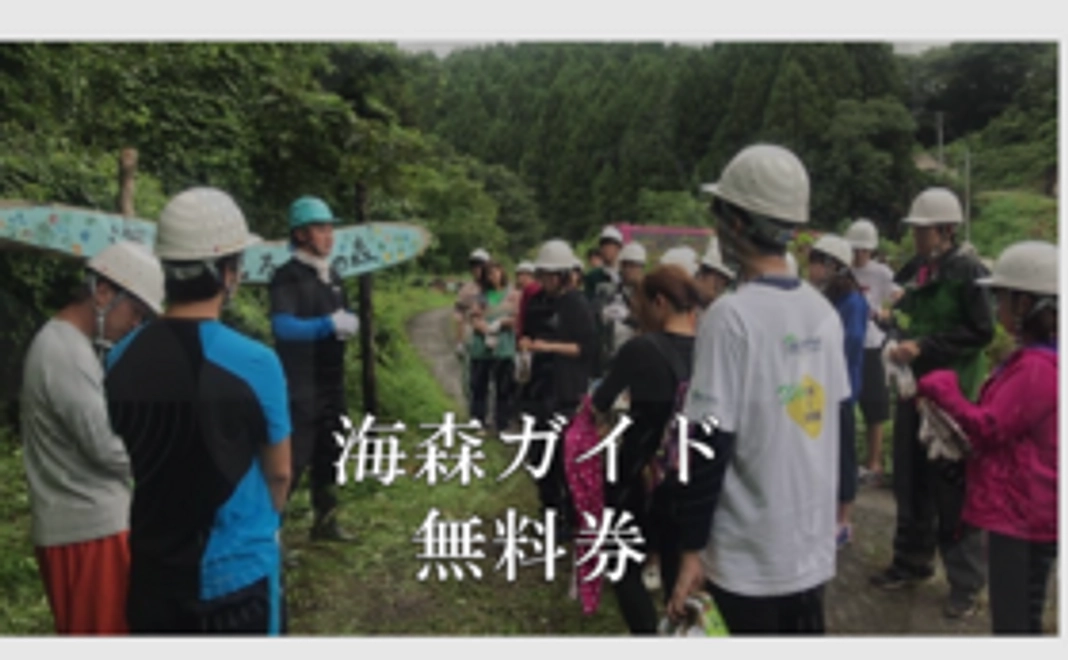 海森ガイドの無料券