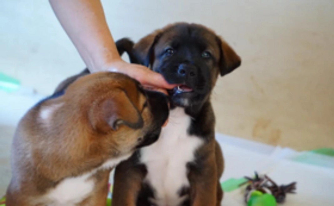 【お気持ちコース】