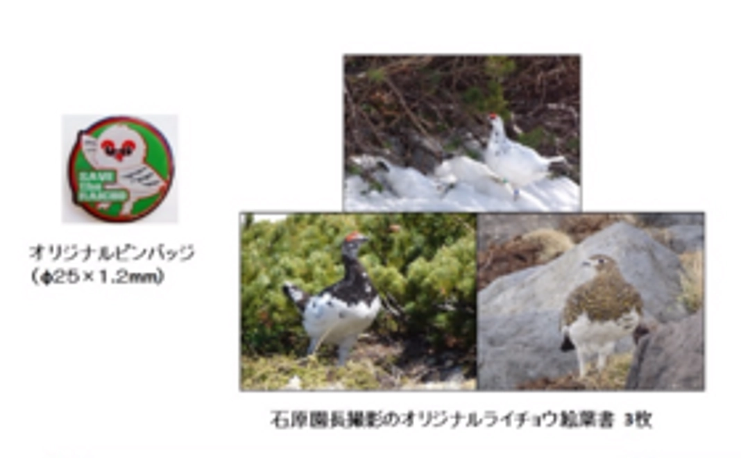 ギフト＃2：　お礼のメール＋オリジナルピンバッジ＋ライチョウ写真(3枚)