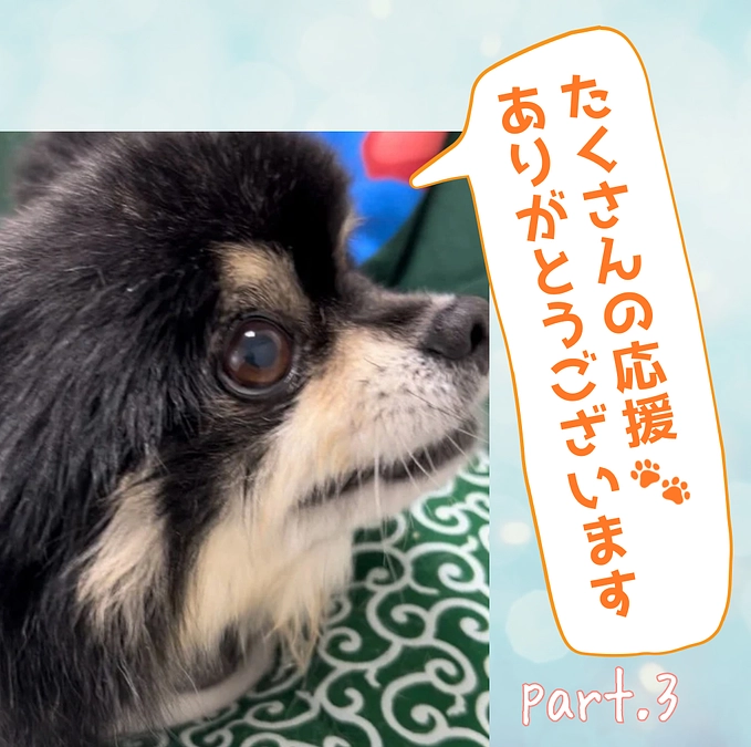 みなさまのお力添えに感謝🙏🐾 part.3
