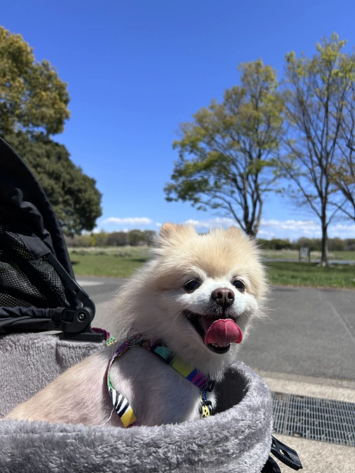 53/59‪ ☆ メタセコイアの森へ 〜前編〜